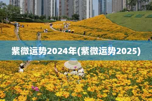 紫微运势2024年(紫微运势2025)