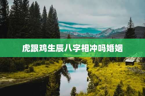 虎跟鸡生辰八字相冲吗婚姻
