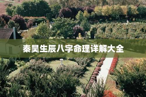 秦昊生辰八字命理详解大全