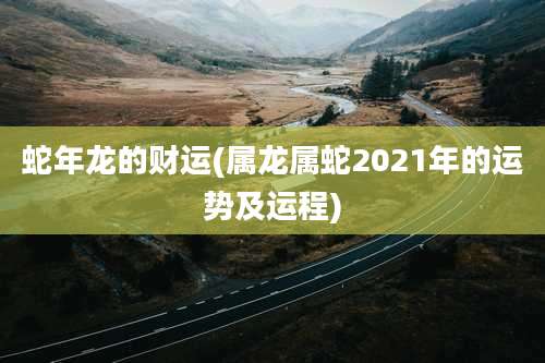 蛇年龙的财运(属龙属蛇2021年的运势及运程)