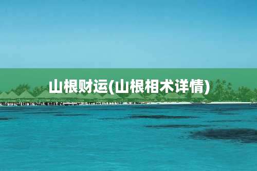 山根财运(山根相术详情)