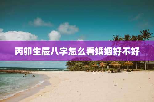 丙卯生辰八字怎么看婚姻好不好