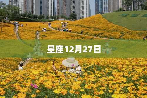 星座12月27日