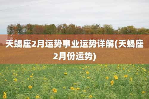 天蝎座2月运势事业运势详解(天蝎座2月份运势)