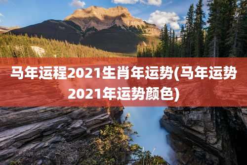 马年运程2021生肖年运势(马年运势2021年运势颜色)