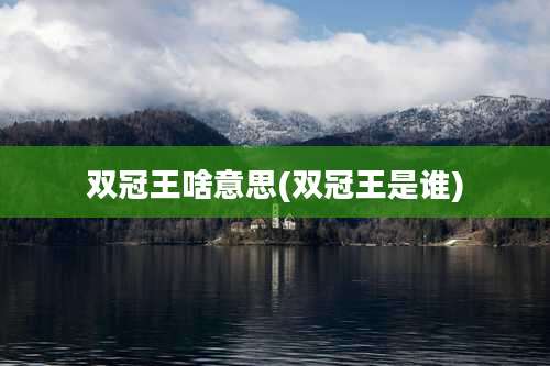 双冠王啥意思(双冠王是谁)