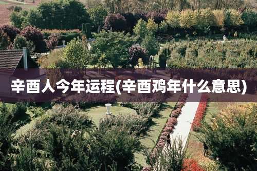辛酉人今年运程(辛酉鸡年什么意思)