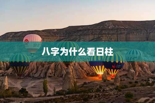 八字为什么看日柱