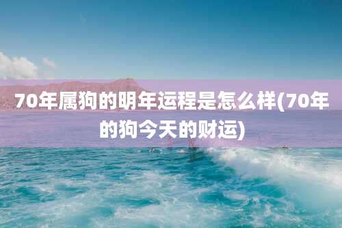 70年属狗的明年运程是怎么样(70年的狗今天的财运)
