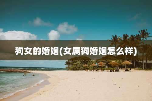 狗女的婚姻(女属狗婚姻怎么样)