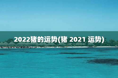 2022猪的运势(猪 2021 运势)