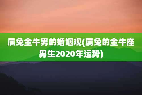 属兔金牛男的婚姻观(属兔的金牛座男生2020年运势)