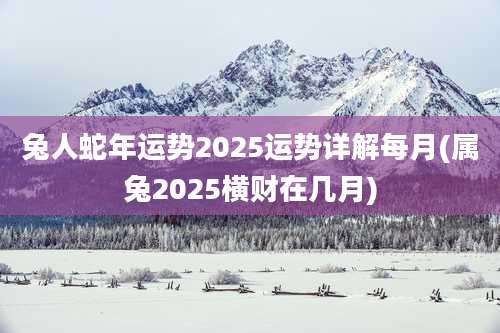 兔人蛇年运势2025运势详解每月(属兔2025横财在几月)