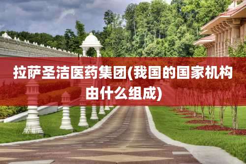 拉萨圣洁医药集团(我国的国家机构由什么组成)