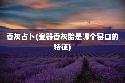 香灰占卜(瓷器香灰胎是哪个窑口的特征)