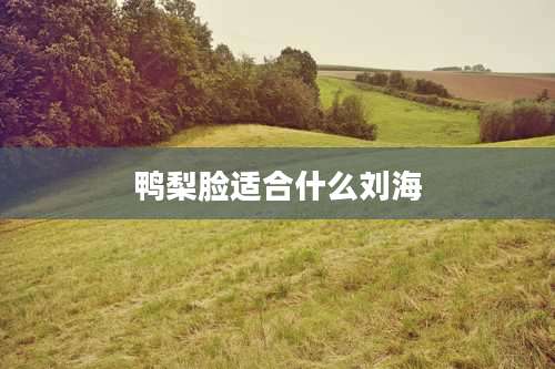 鸭梨脸适合什么刘海