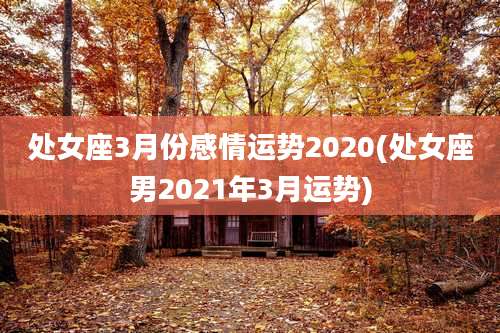 处女座3月份感情运势2020(处女座男2021年3月运势)