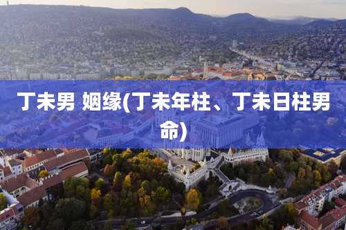 丁未男 姻缘(丁未年柱、丁未日柱男命)