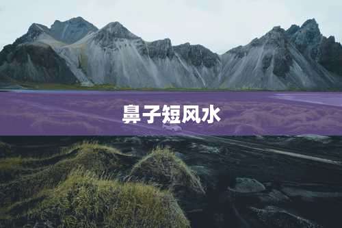鼻子短风水