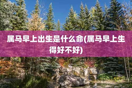 属马早上出生是什么命(属马早上生得好不好)