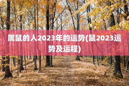 属鼠的人2023年的运势(鼠2023运势及运程)
