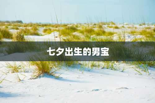七夕出生的男宝