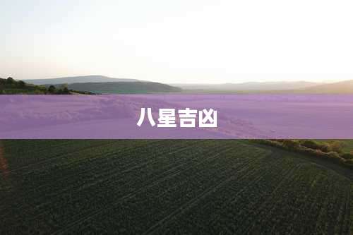 八星吉凶