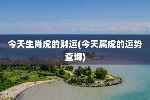 今天生肖虎的财运(今天属虎的运势查询)