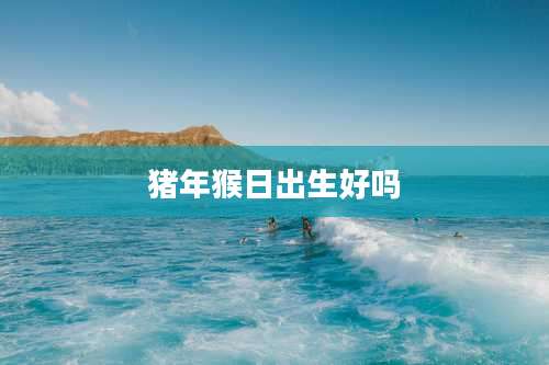 猪年猴日出生好吗