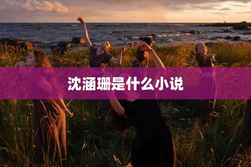 沈涵珊是什么小说