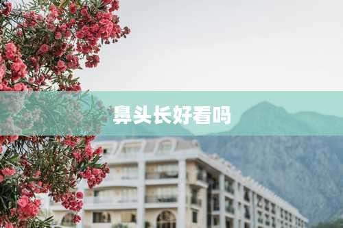 鼻头长好看吗
