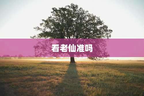 看老仙准吗