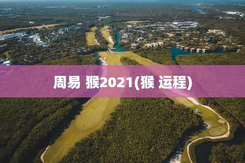 周易 猴2021(猴 运程)