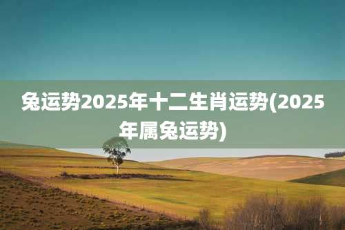 兔运势2025年十二生肖运势(2025年属兔运势)