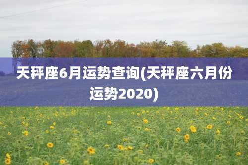 天秤座6月运势查询(天秤座六月份运势2020)