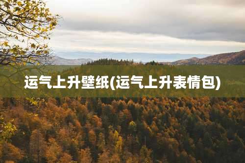 运气上升壁纸(运气上升表情包)