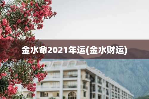 金水命2021年运(金水财运)