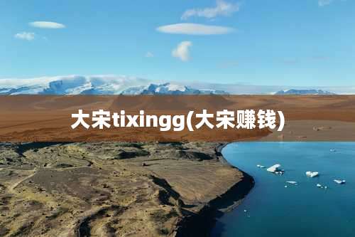 大宋tixingg(大宋赚钱)