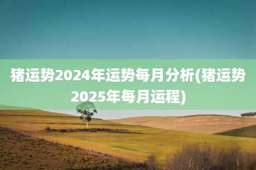 猪运势2024年运势每月分析(猪运势2025年每月运程)