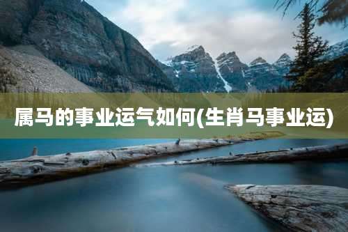 属马的事业运气如何(生肖马事业运)