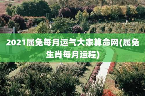 2021属兔每月运气大家算命网(属兔生肖每月运程)