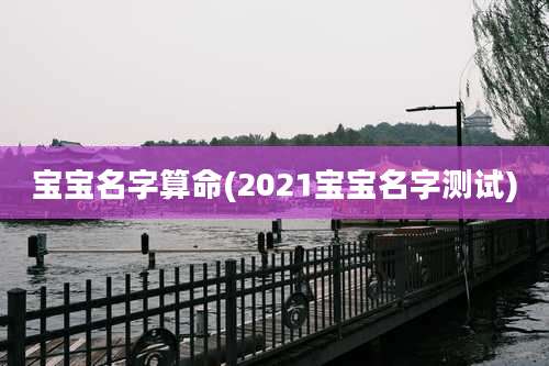 宝宝名字算命(2021宝宝名字测试)