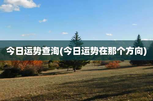 今日运势查洵(今日运势在那个方向)