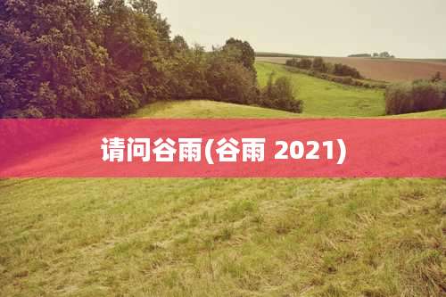 请问谷雨(谷雨 2021)