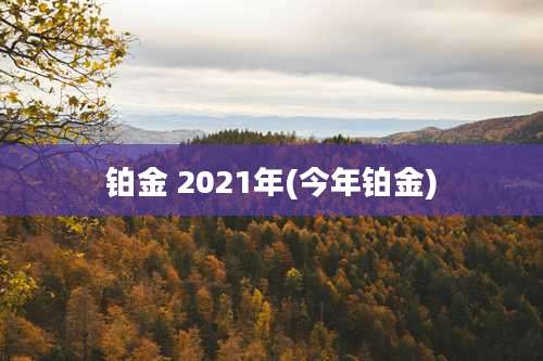 铂金 2021年(今年铂金)