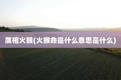 属相火猴(火猴命是什么意思是什么)