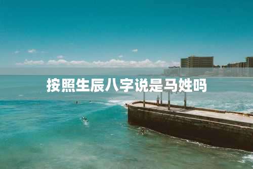 按照生辰八字说是马姓吗