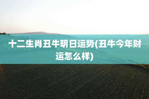 十二生肖丑牛明日运势(丑牛今年财运怎么样)