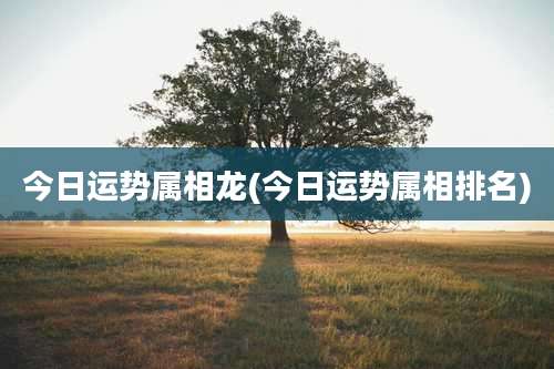 今日运势属相龙(今日运势属相排名)