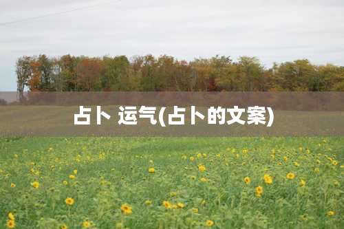 占卜 运气(占卜的文案)